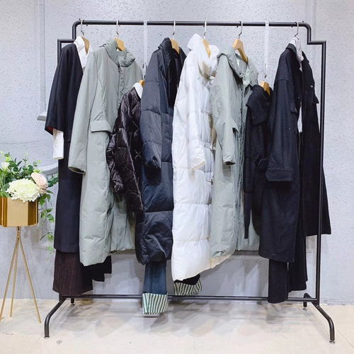 艾格（Etam）與四川高檔女裝品牌 低價(jià)位加盟與羽絨服零售市場策略探析